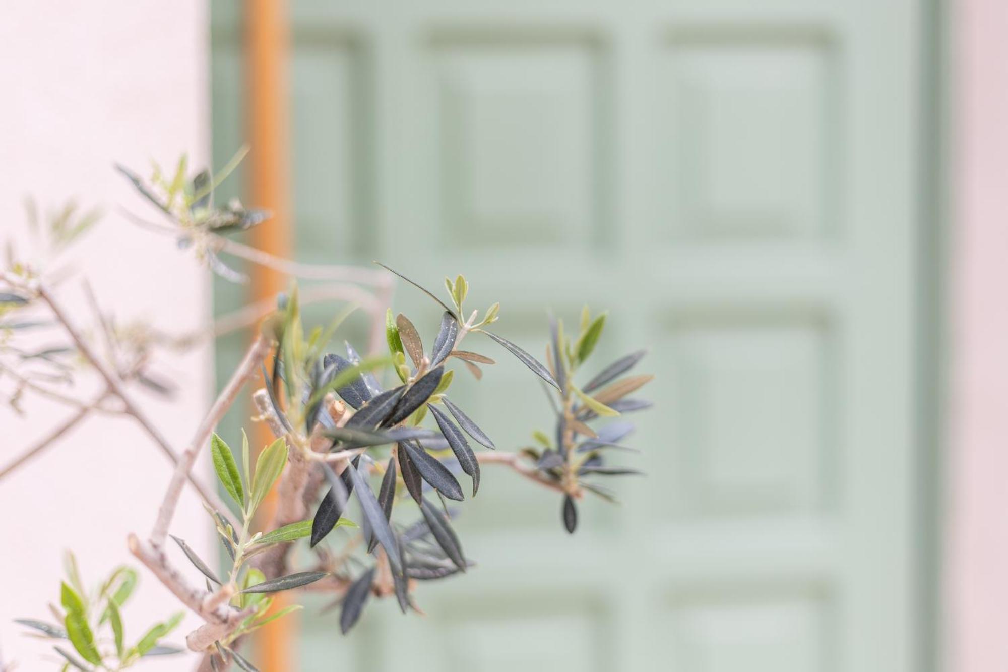 Erofili Traditional House Villa Chania  Bagian luar foto